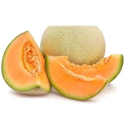 

Buah Melon segar & manis