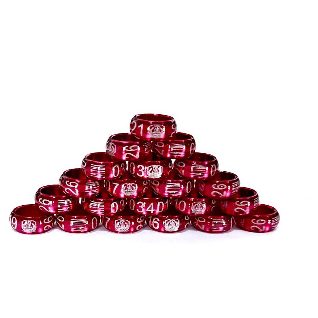 RING JATIM PPMBSI 2026