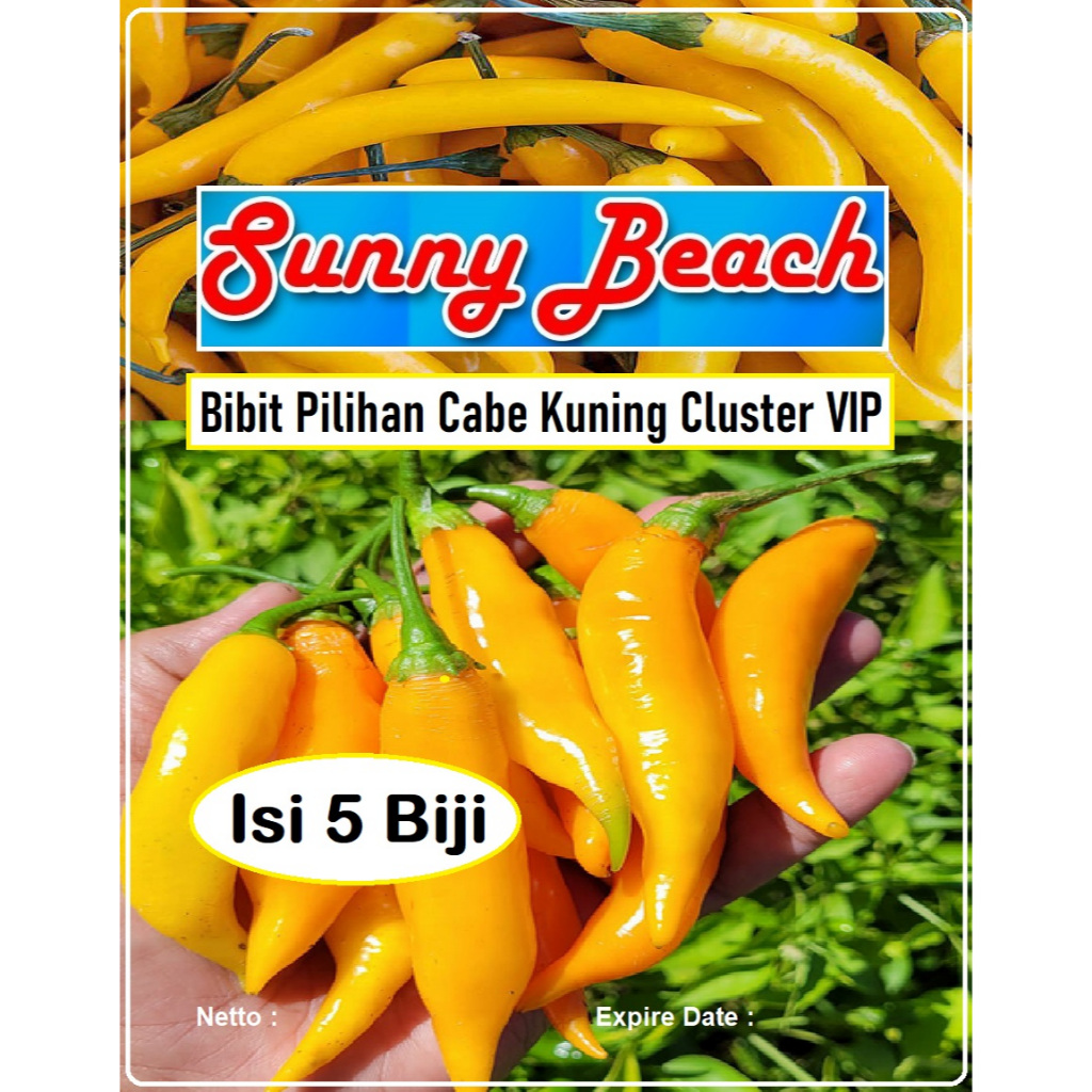 Bibit Pilihan Cabe Kuning Cluster VIP | Biji Benih Cabe Kuning Cluster VIP