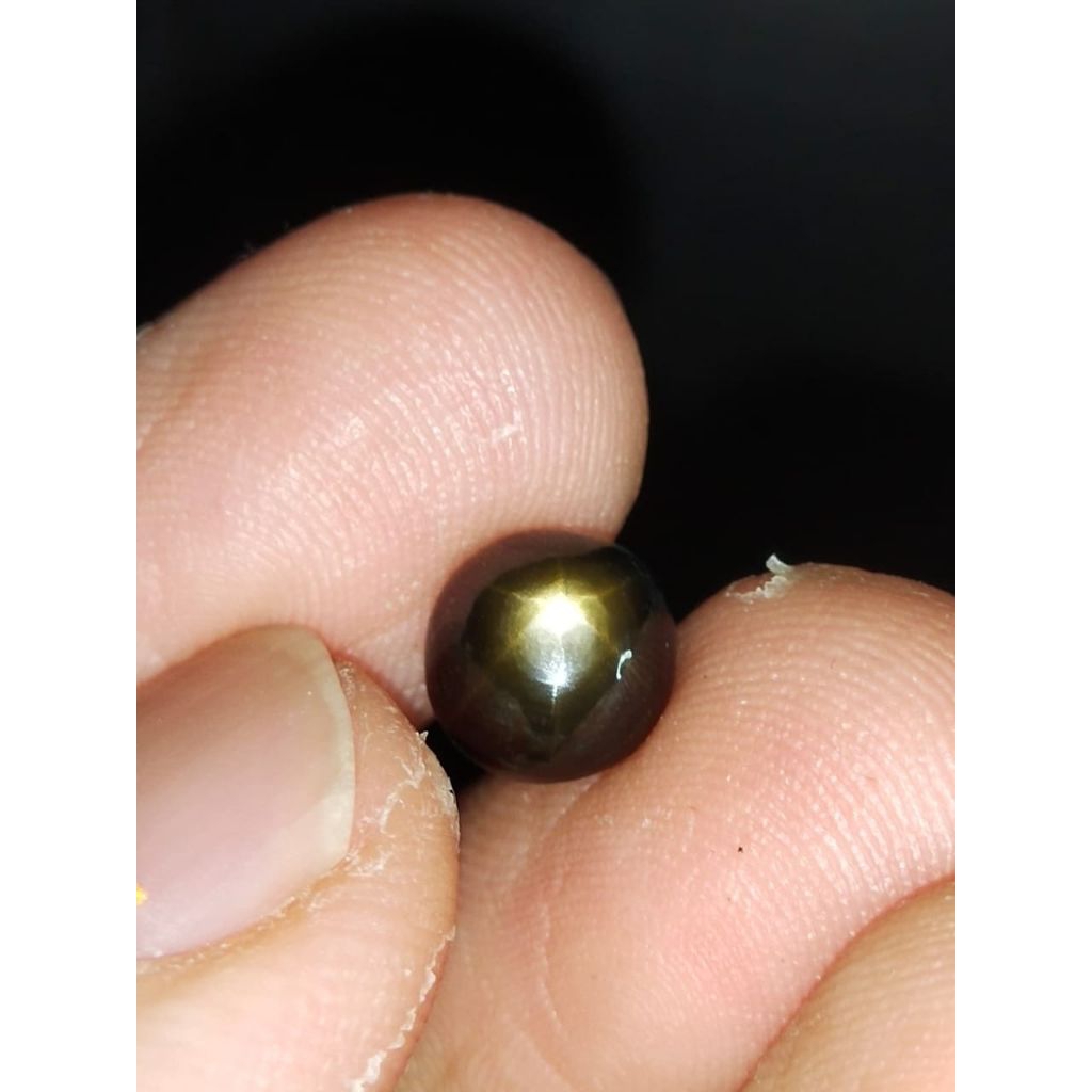 Natural Semi Golden Black Star Sapphire 7.5 x 7 x 4.8 mm 3.2 Cts round cabochon kode 157