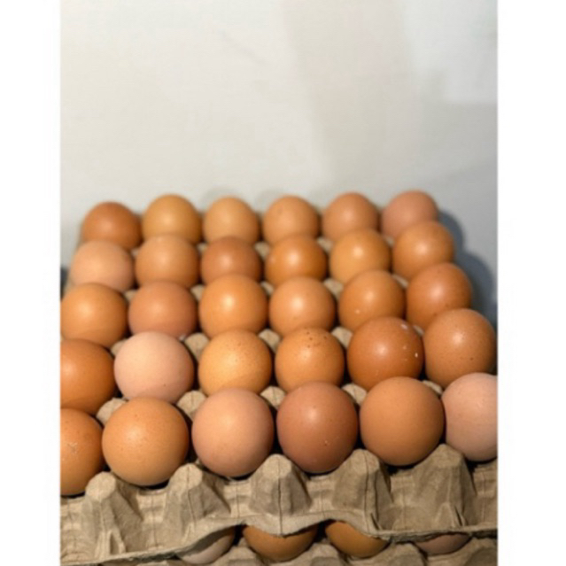 

10 Pcs Telur Ayam Eropa Besar