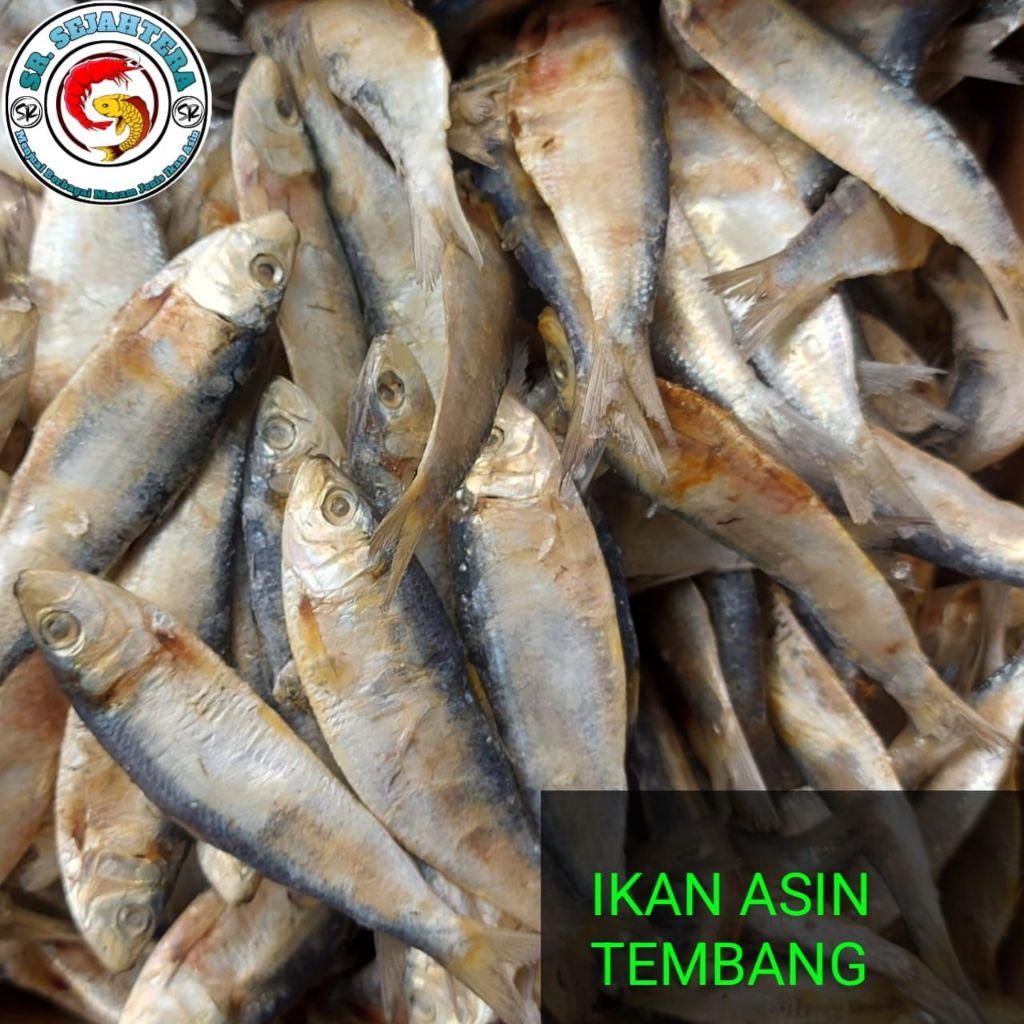 

IKAN ASIN TEMBANG / IKAN TEMBANG / IKAN ASIN