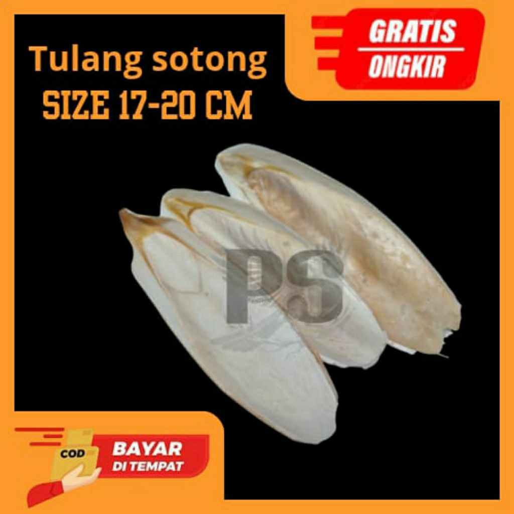 TULANG SOTONG atau TULANG CUMI pakan burung perkutut kenari dllukuran 17-20 cm