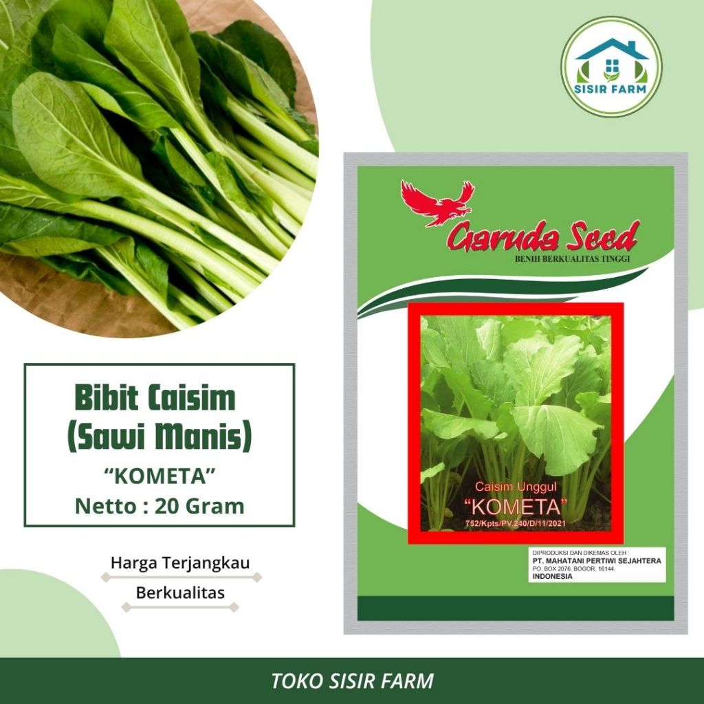 Benih Sawi Manis Sawi Caisim bibit Sawi Manis Sawi Caisim Unggul Kometa 20 Gram Garuda Seed