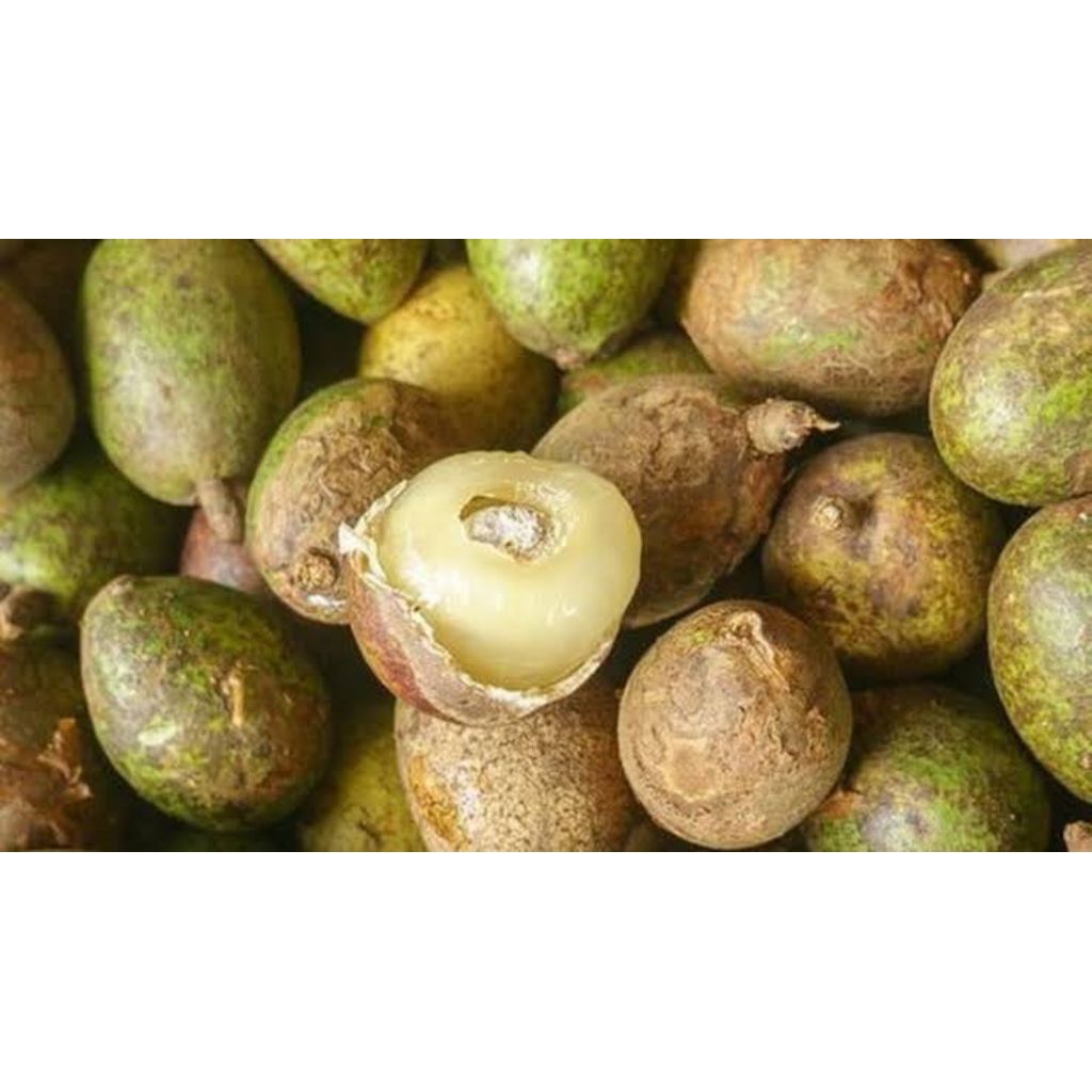 

buah matoa langka segar mendadak metik 500gram