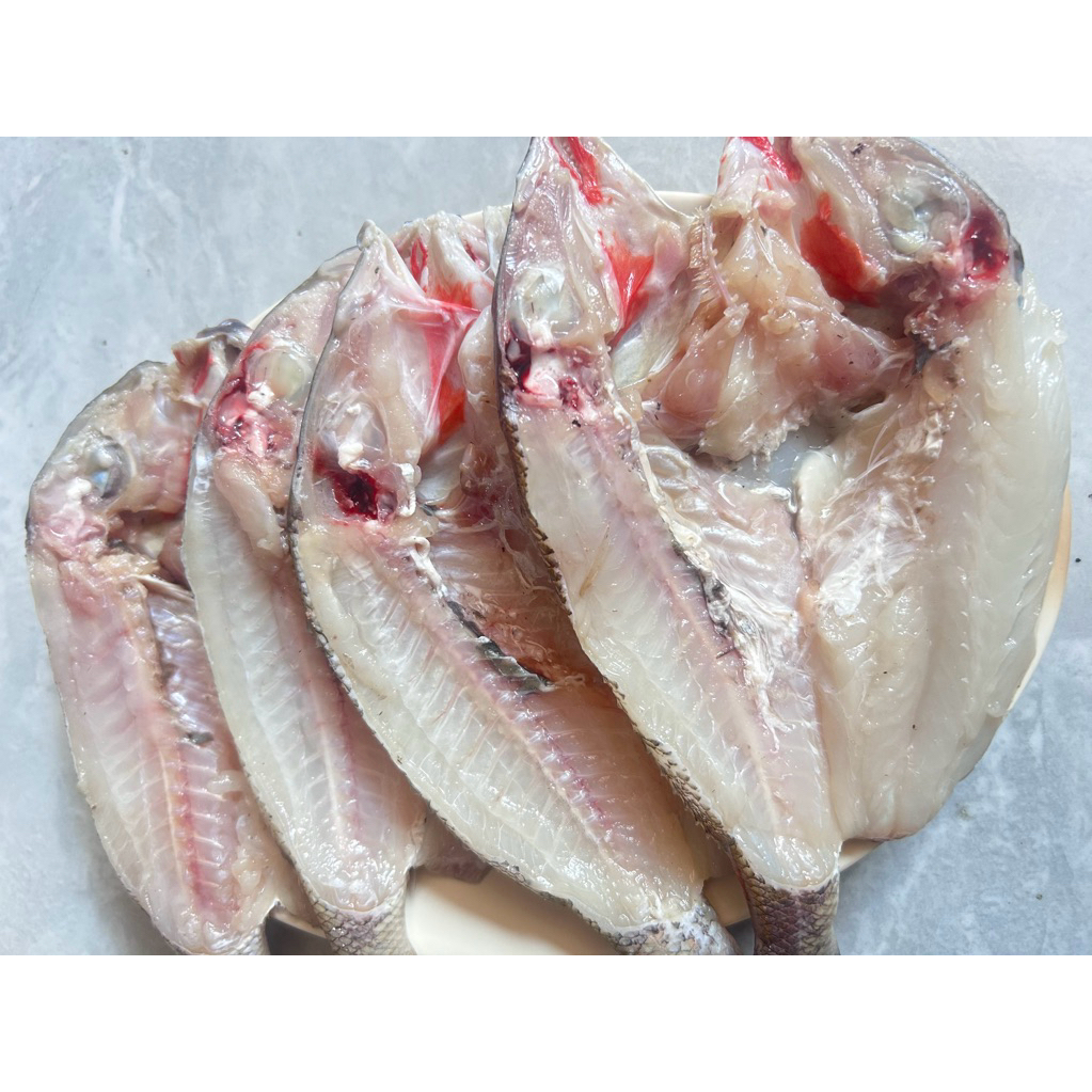 

Ikan Katamba Belah Segar