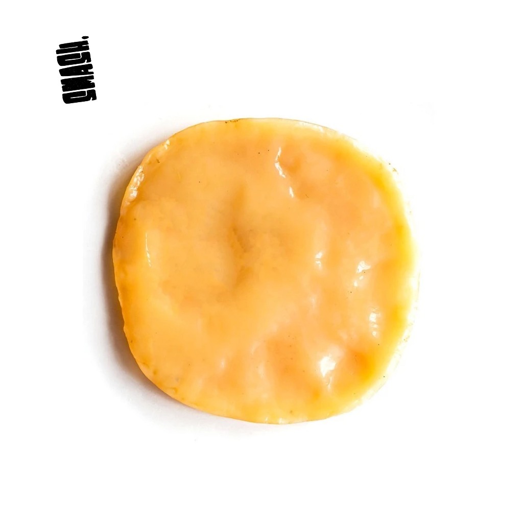 

SMASH Bibit Scoby Jamur Kombucha