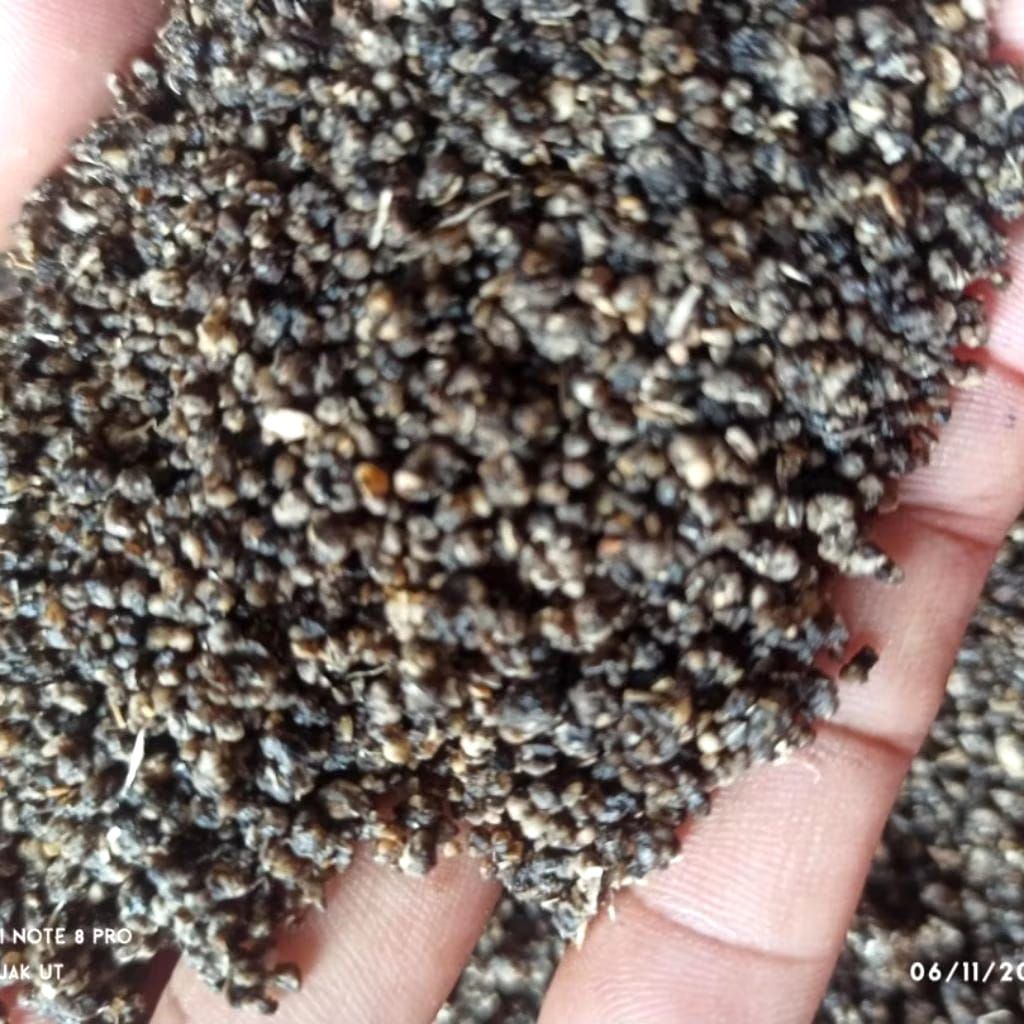 

Tiwul remu coklat kehitaman instan khas trenggalek