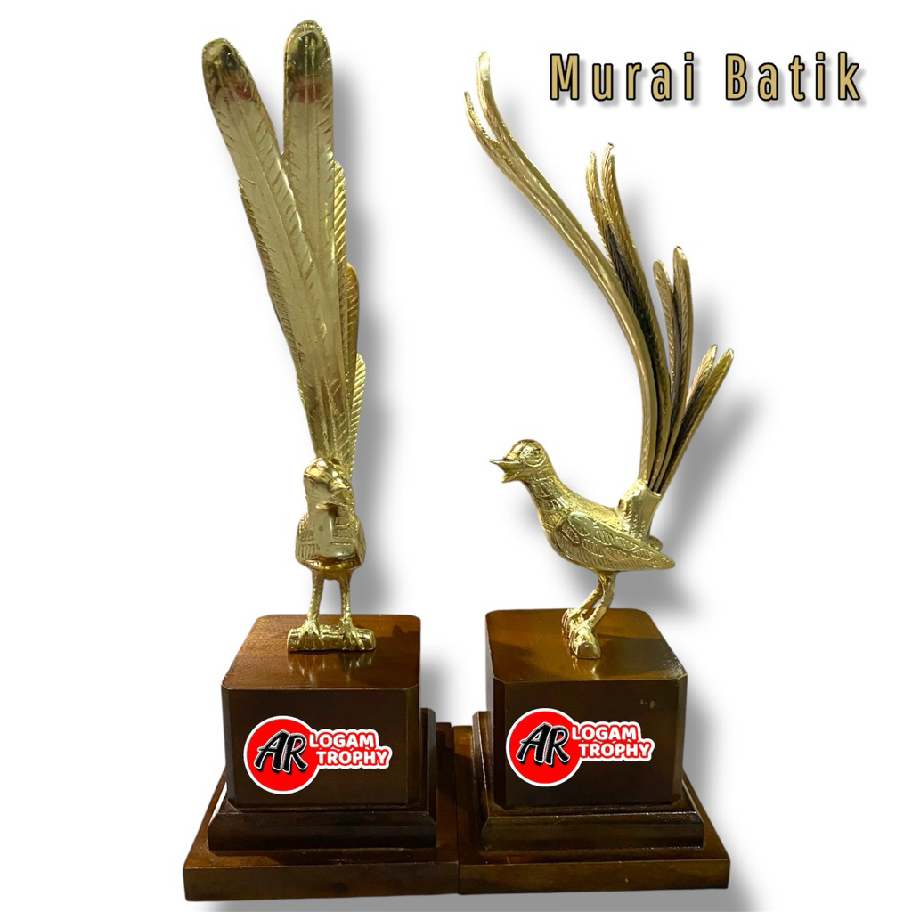 Terlaris Trophy Murai Batu Batik Ekor Panjang
