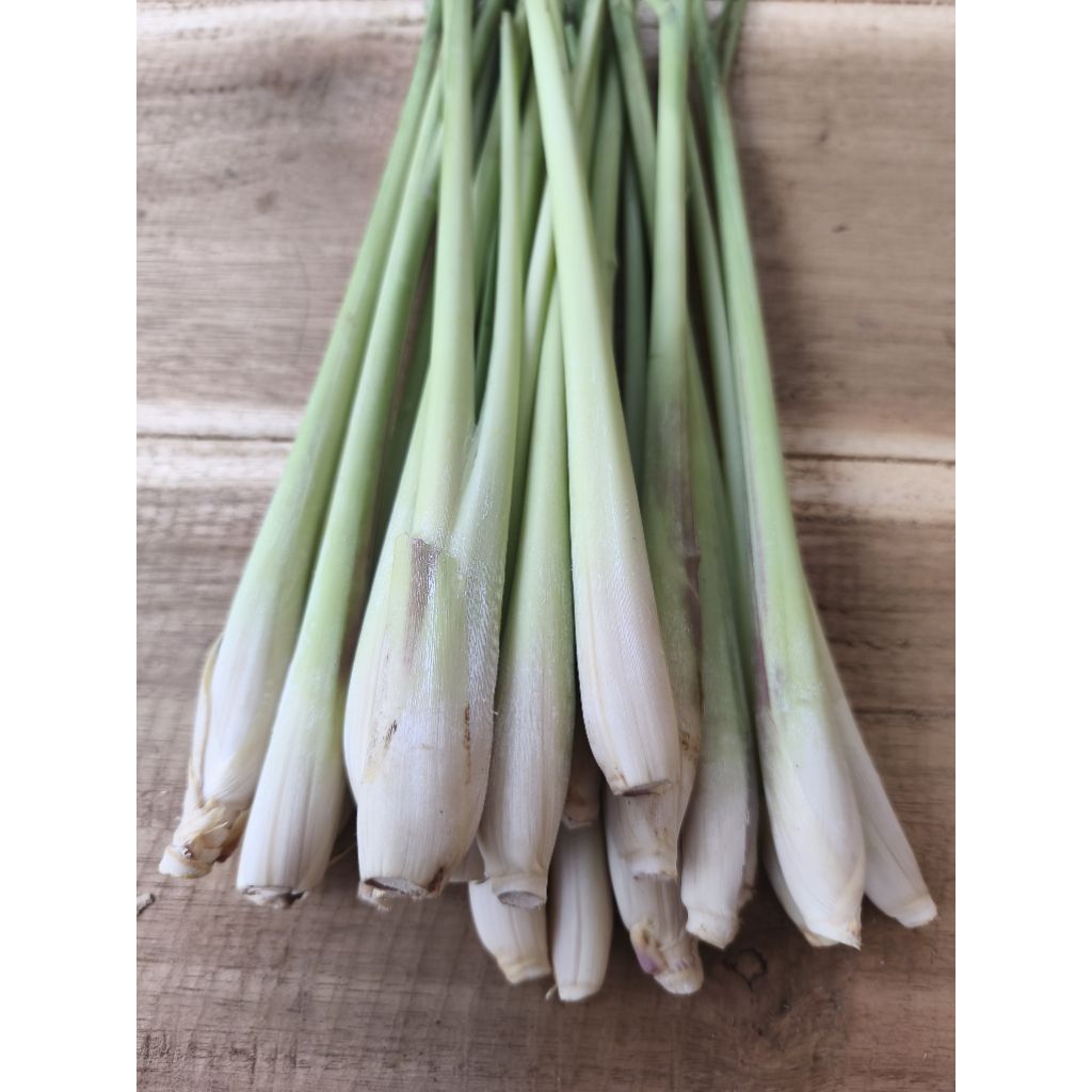 

SERAI SEGAR 1 KG SEREH SAYUR