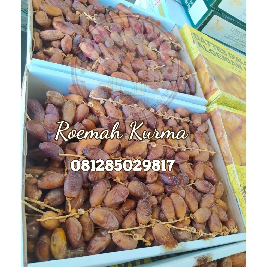 

Kurma Tunis repack 1kg