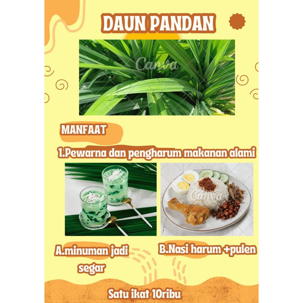 

Daun Pandan