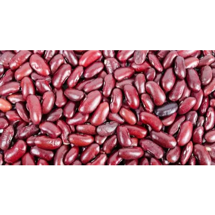 

Kacang merah