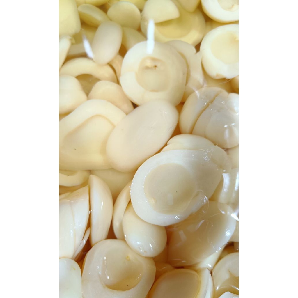 

MANISAN / ASINAN SALAK