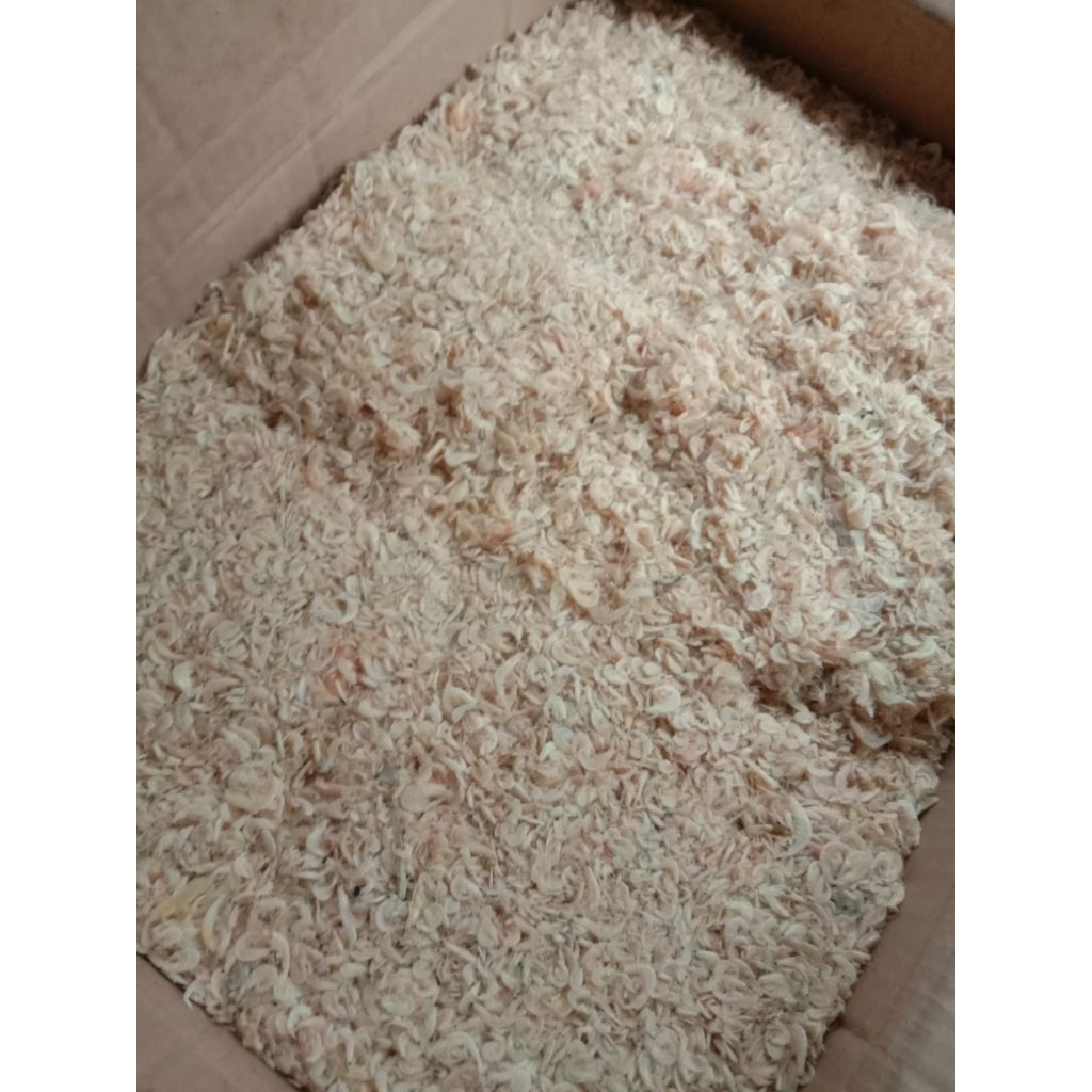 

IKAN ASIN UDANG REBON ASIN MURAH 1KG