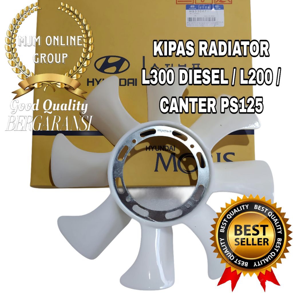 Kipas Radiator L300 Diesel L200 Strada Canter Ps125 Hyundai