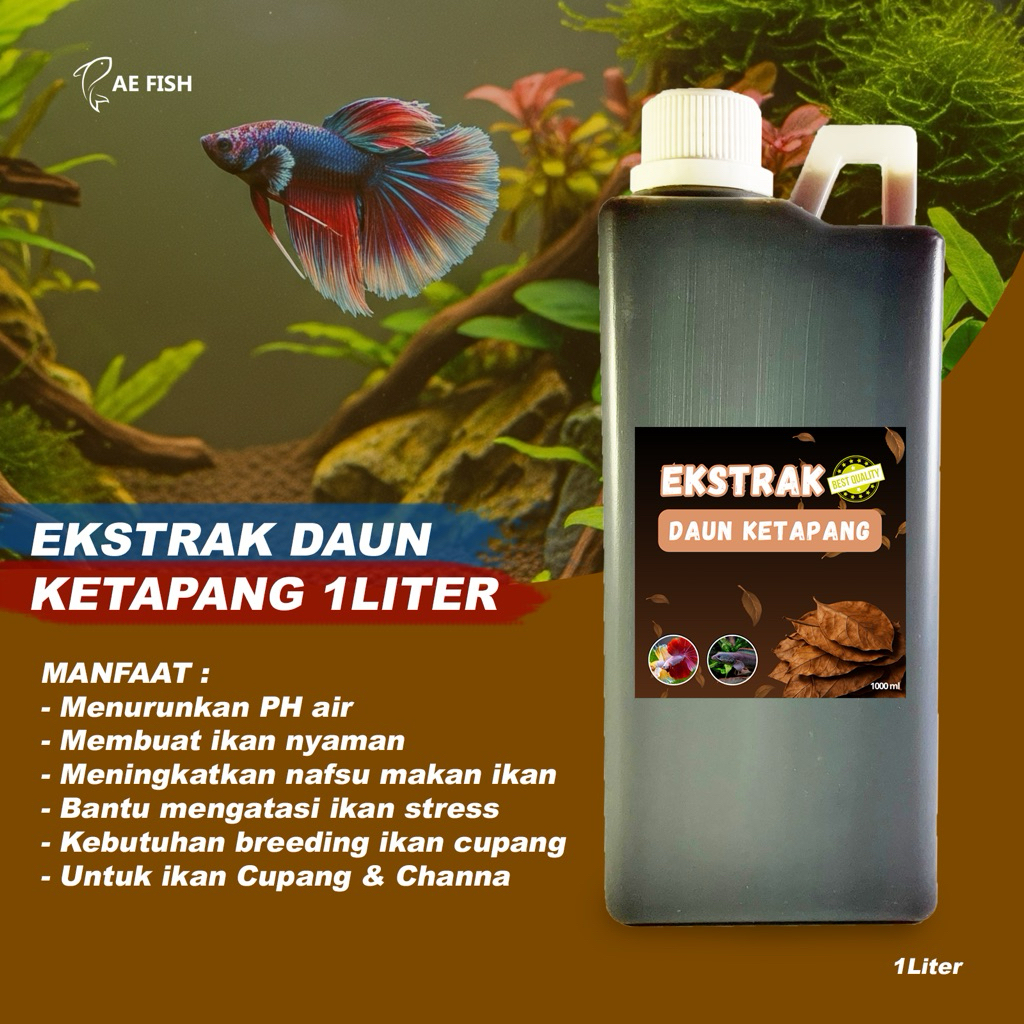 Ekstrak daun Ketapang 1 Liter ikan cupang dan channa