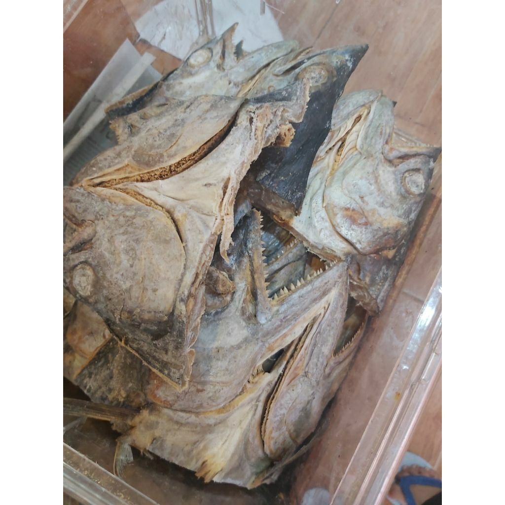 

kpla ikan asin telng tenggiri1kg