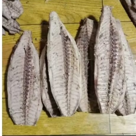 

Ikan Cue Potong Besar 500grm