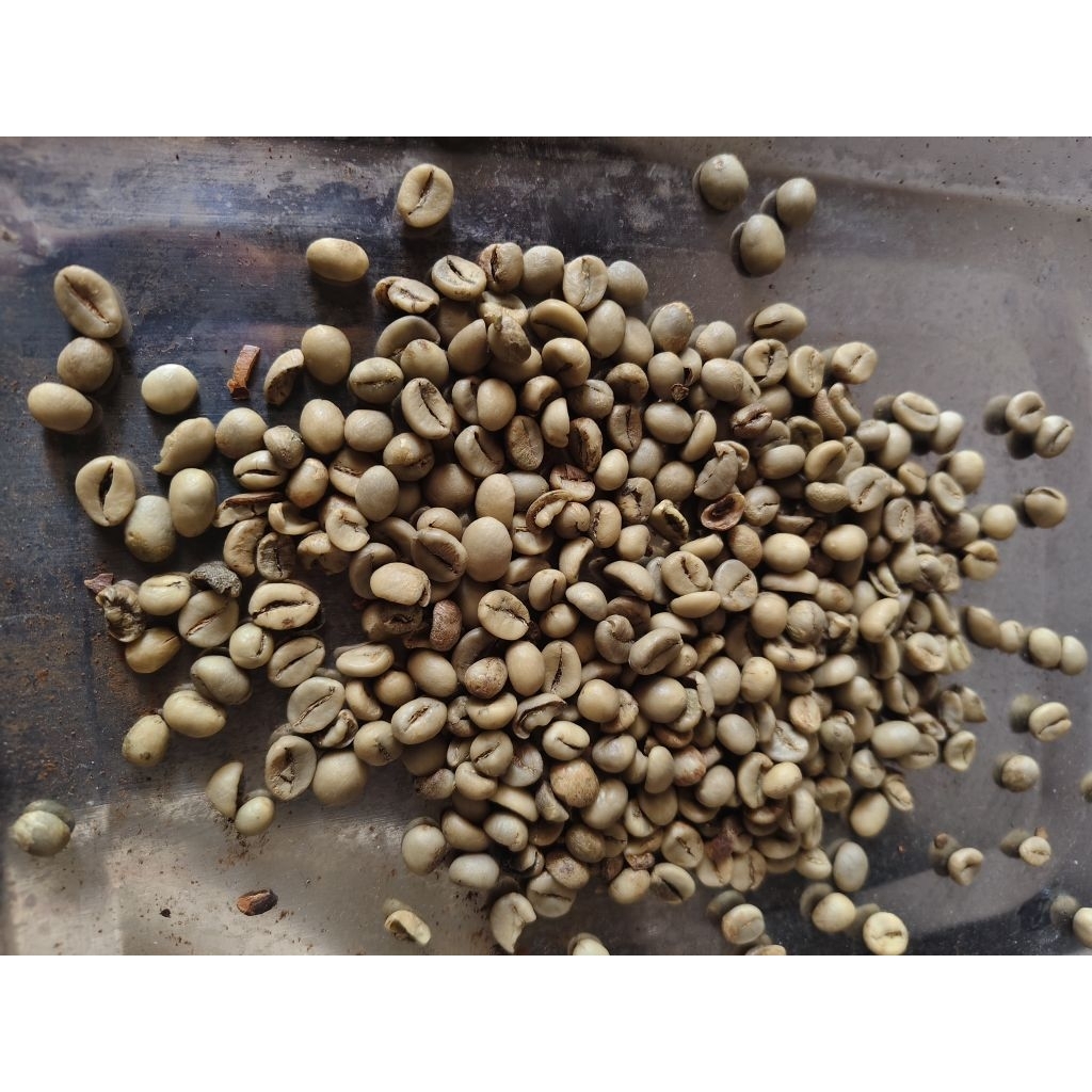 

green bean robusta