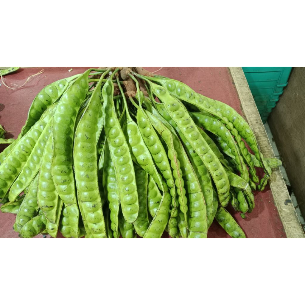 

PETE MURAH MERIAH ISI 10 PAPAN KWALITAS SUPER