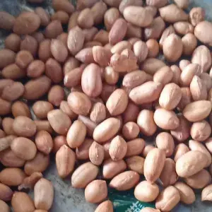 

Kacang Tanah 150g