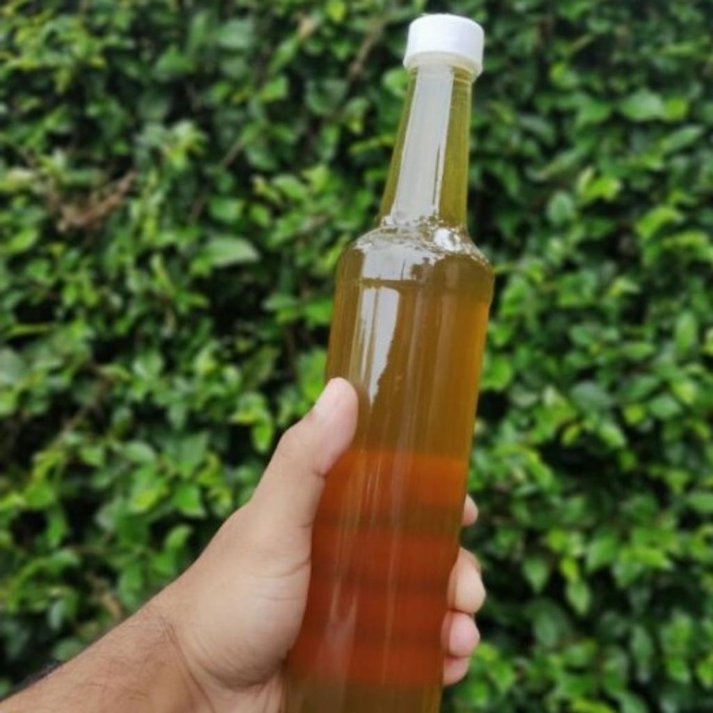 

MADU HUTAN ASLI #Madu asli #Madu lebah #Madu murni #madu berkhasiat #madu herbal