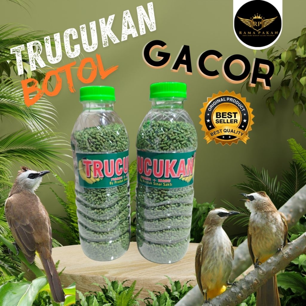 Trucukan Botol – Pakan Spesial untuk Burung Trucukan Gacor