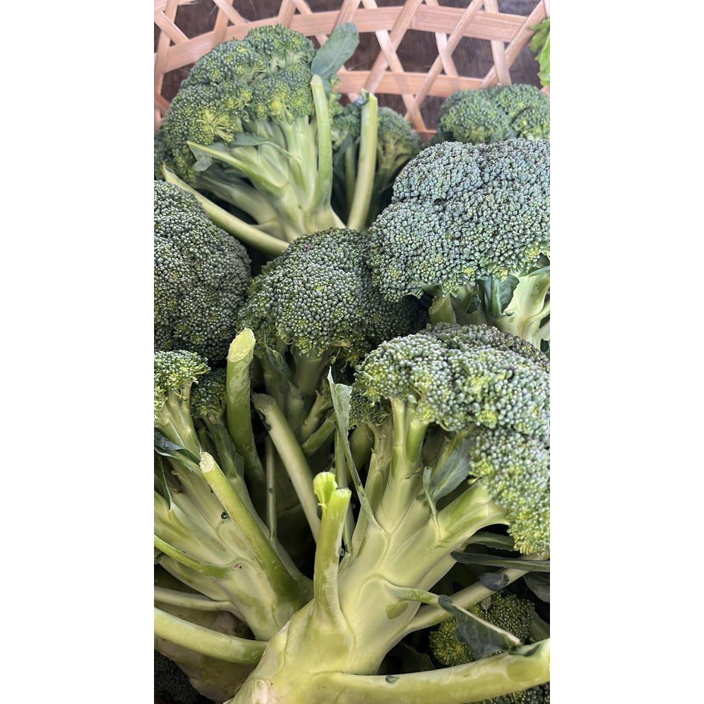 

brokoli kualitas super segar 1 kg