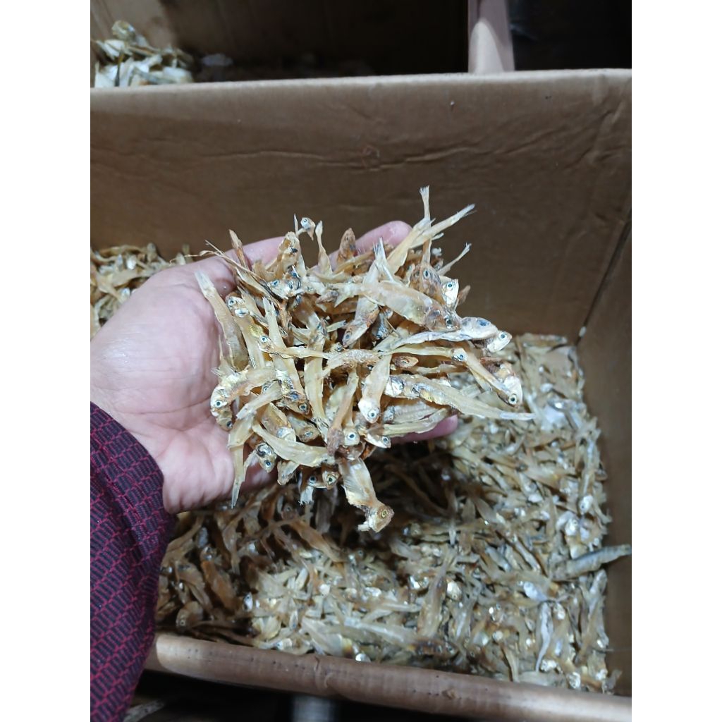 

IKAN ASIN TERI TAWAR 500RAM