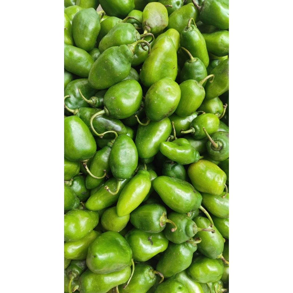

cabe bendot 500gr