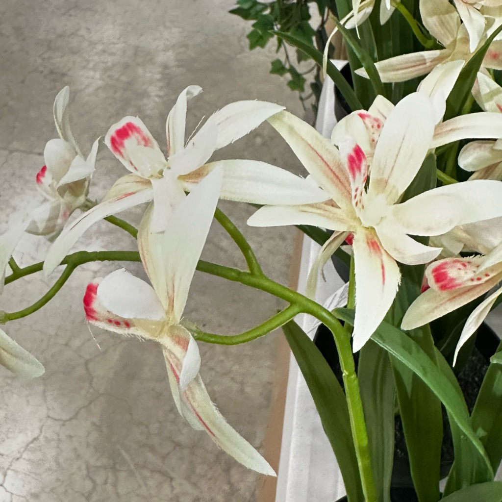 Tanaman Tiruan Tanaman Plastik Anggrek Kuning 12cm Fejka