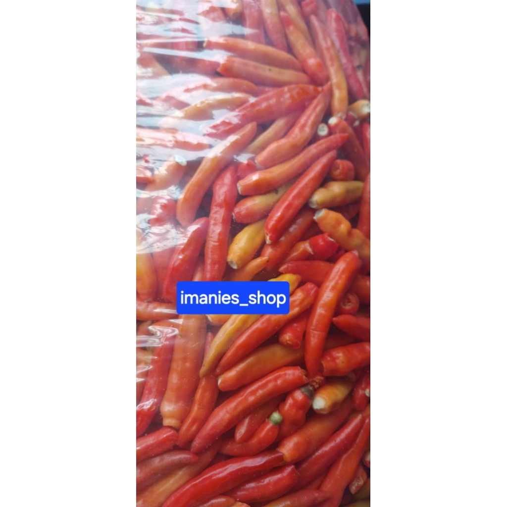 

Cabe RAWIT & MERAH KERITING petik tangkai