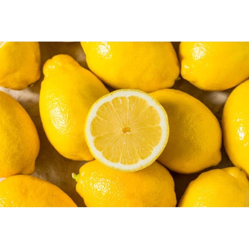 

LEMON Ausi 500GR Air Lebih Banyak