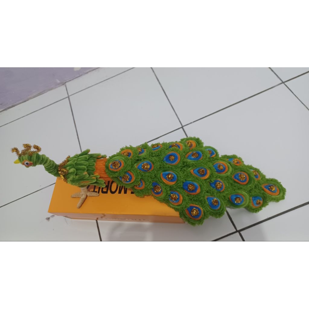 Burung Merak Kawat bulu