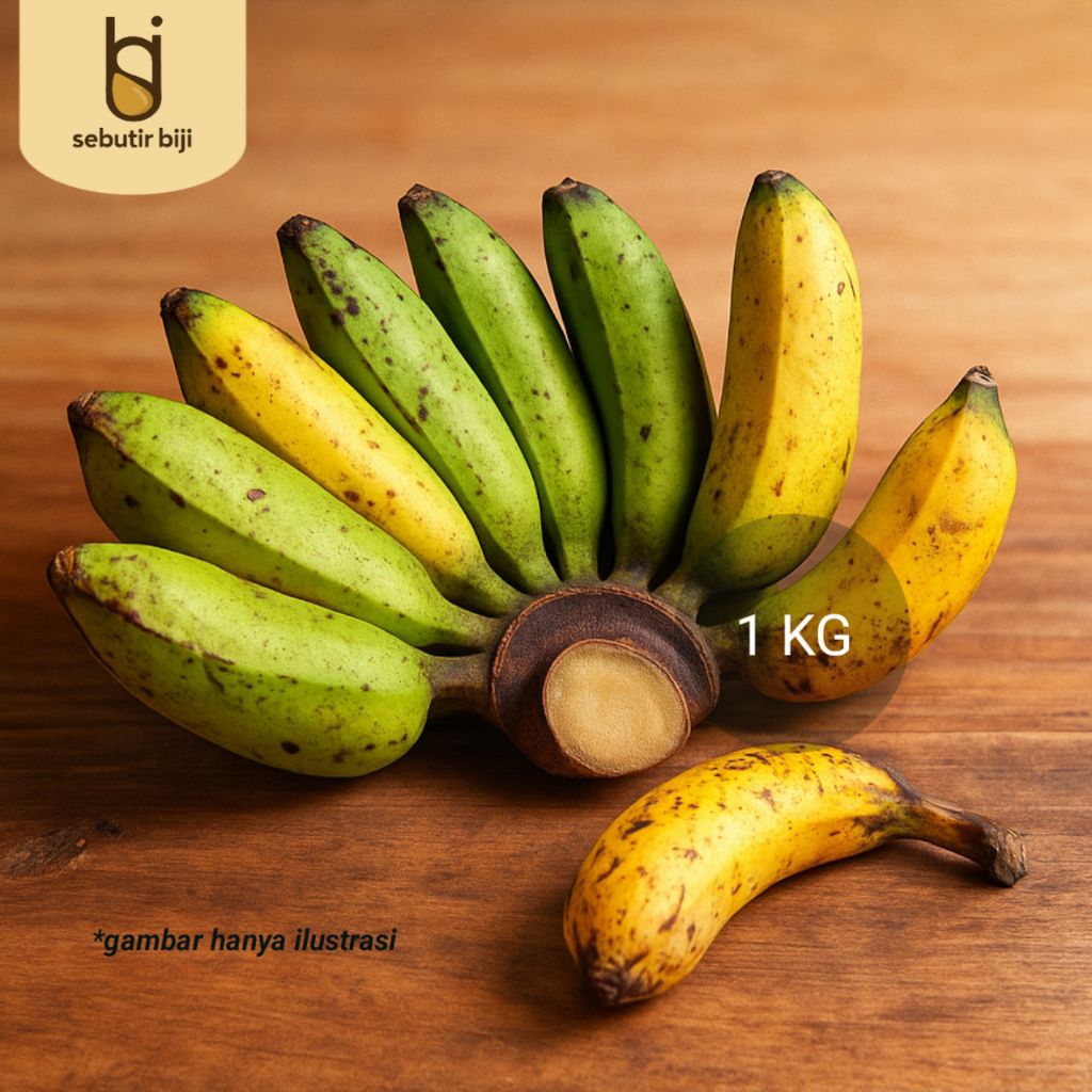 

Pisang Uli / Pisang Bangka – 1 Kg | Cocok untuk Molen, Gorengan, Nagasari