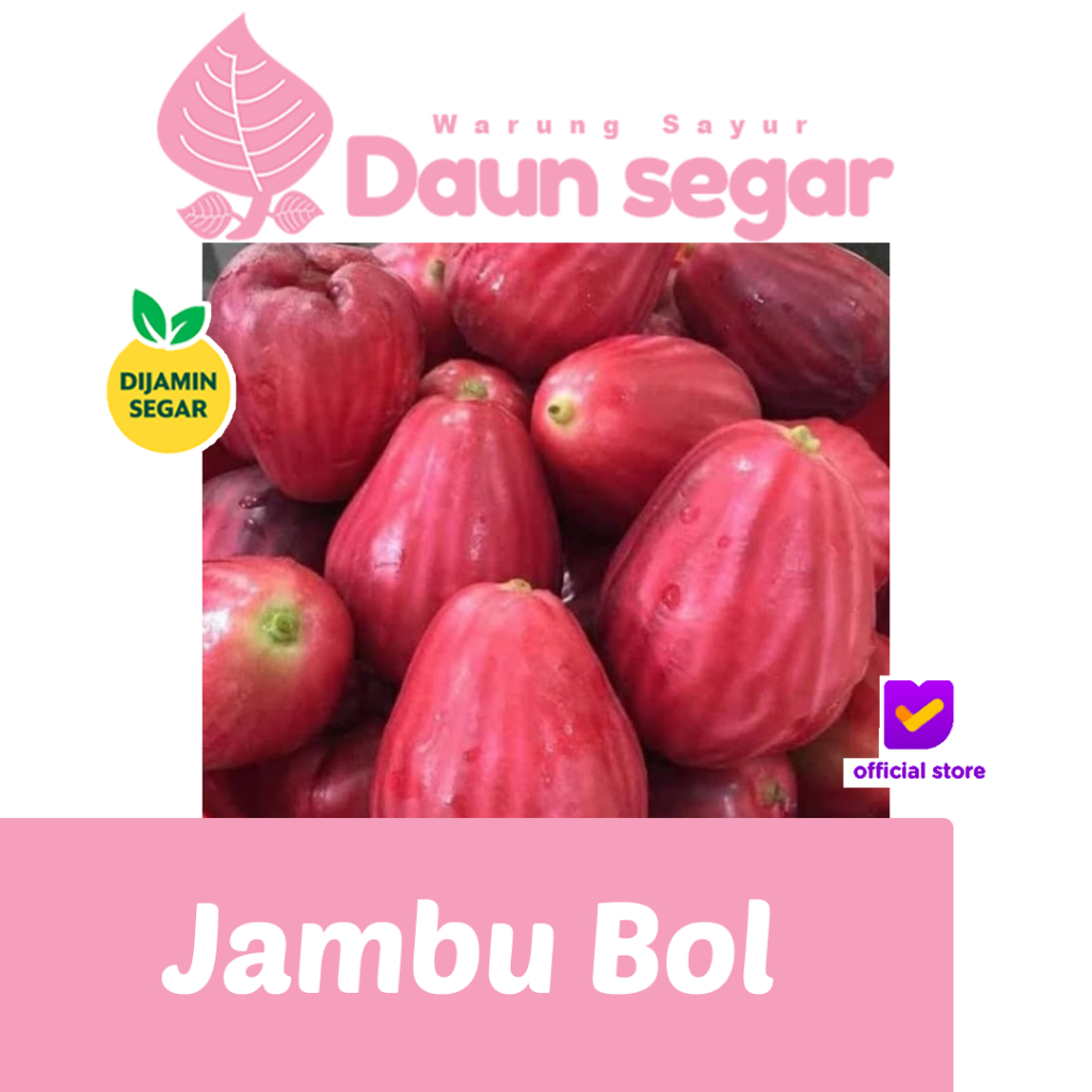 

Jambu Bol Jumbo Merah 1kg Lembut, Wangi, Manis Alami | Buah Premium dari Kebun Daun Segar