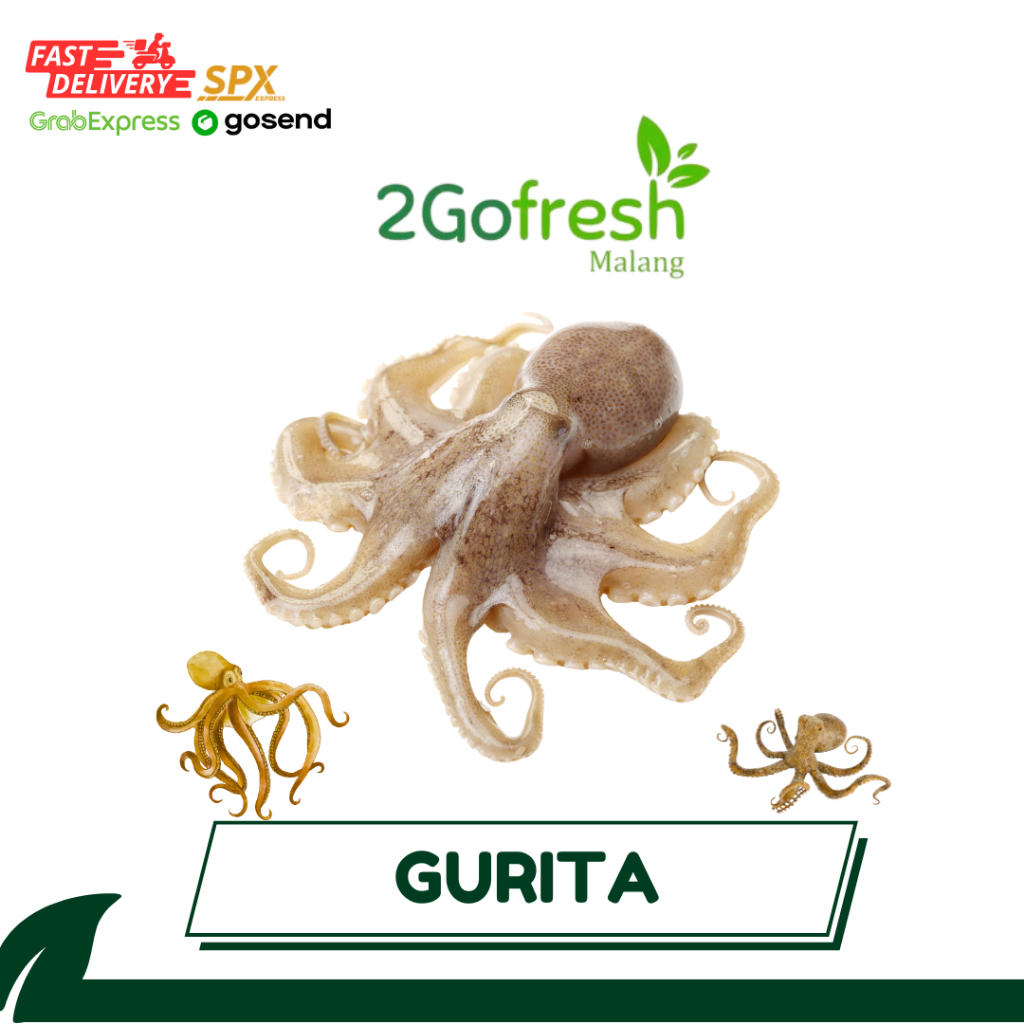 

Gurita Fresh - Sembako - Rempah Sayur Sayuran & Buah Buahan