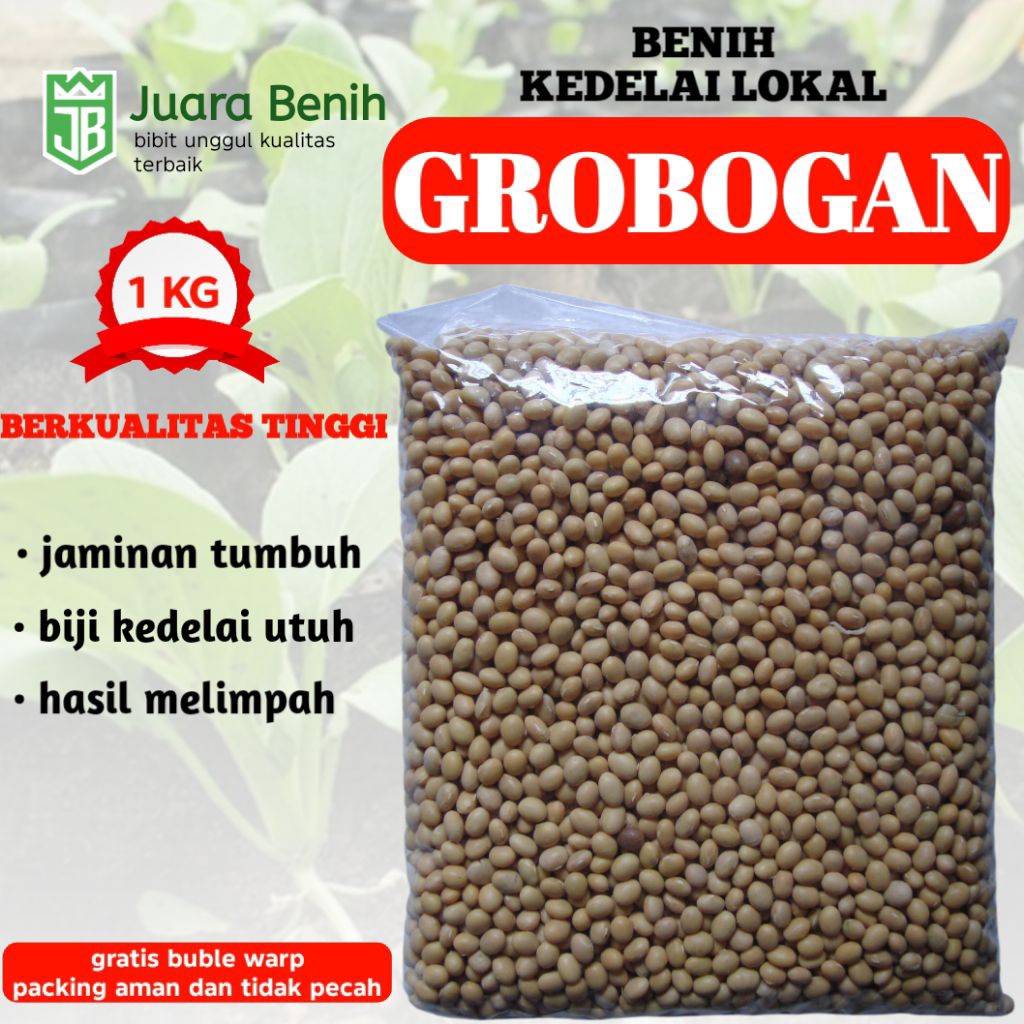 

1KG BENIH KEDELAI LOKAL GROBOGAN SUPER UNGGUL SIAP TANAM TERJAMIN