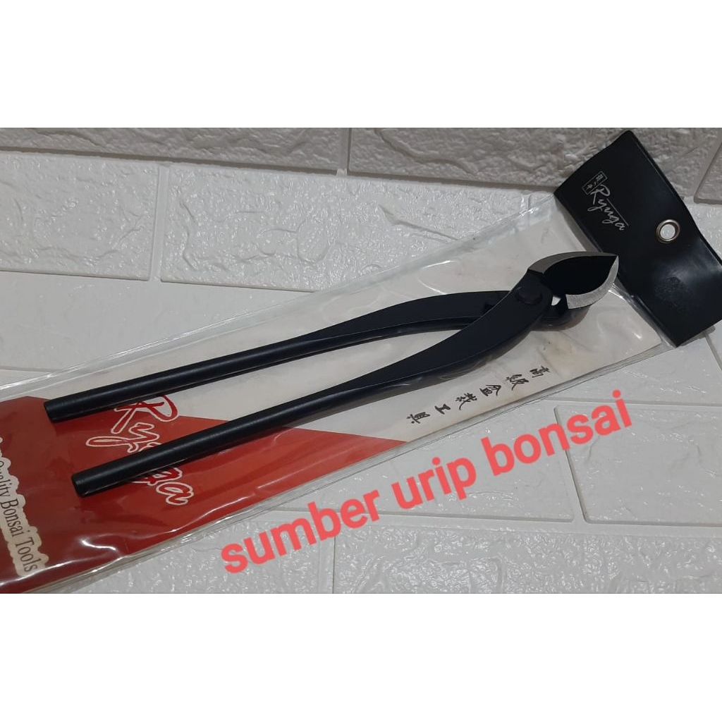 Tang catok bonsai miring lurus Ryuga RC 17