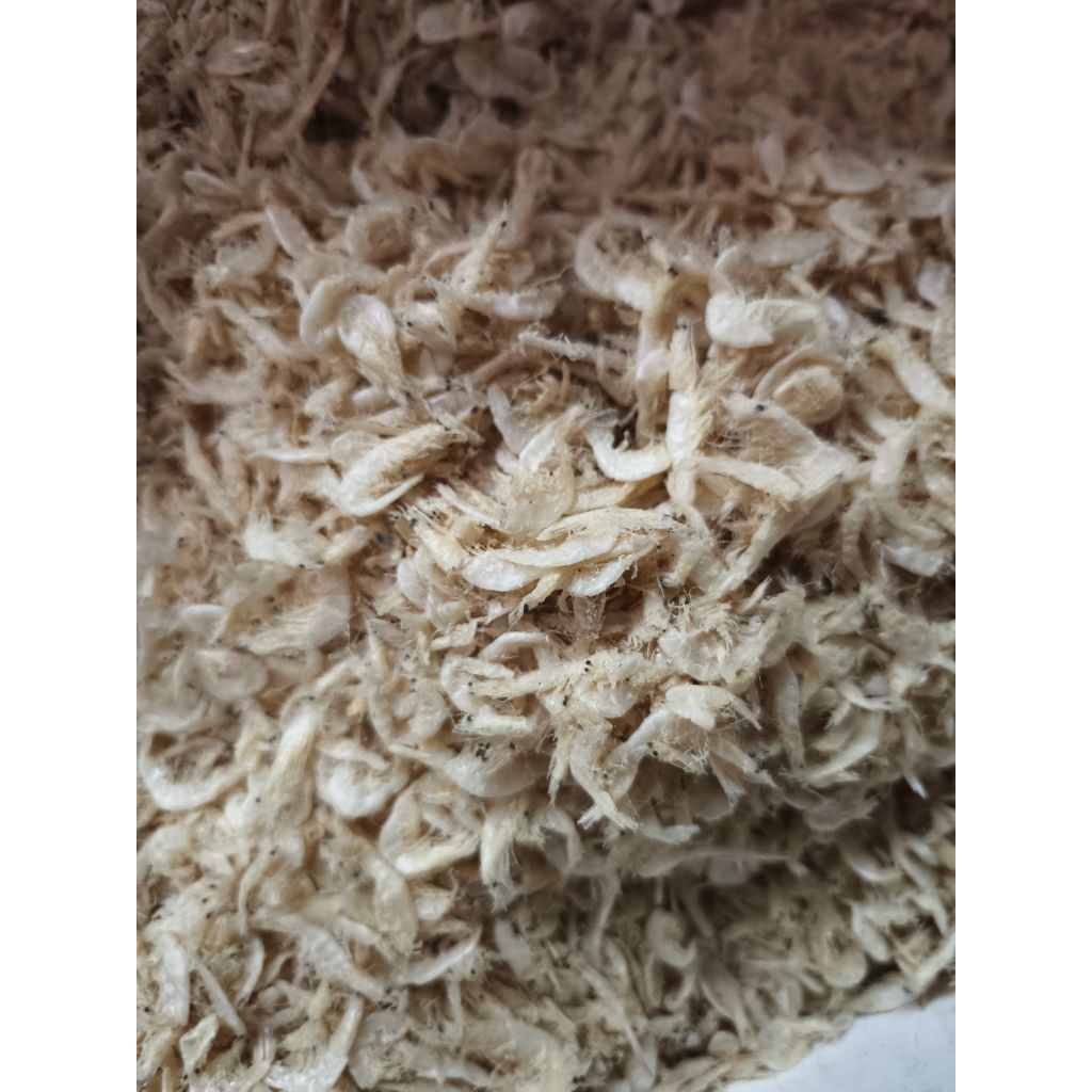 

udang rebon asin kering