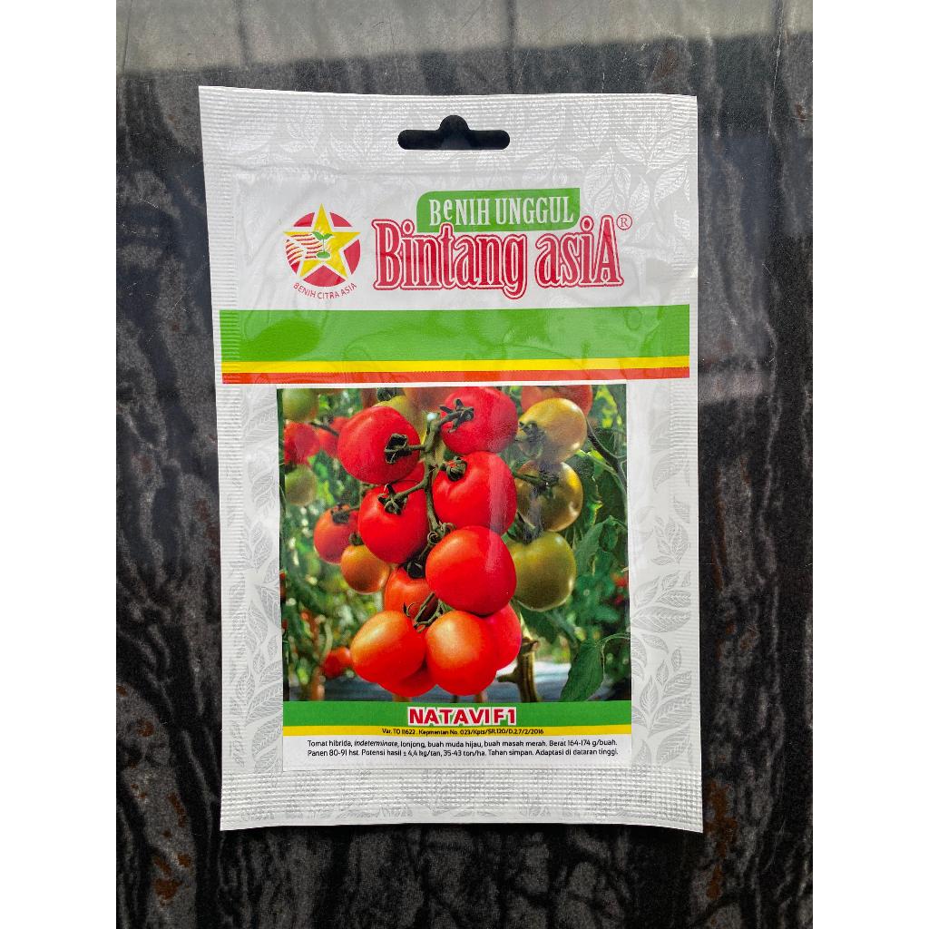Benih Bibit Tomat Natavi F1 - Bintang Asia