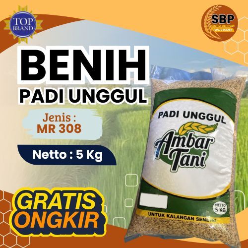 BIBIT BENIH PADI UNGGUL MR 308 KEMASAN 5KG