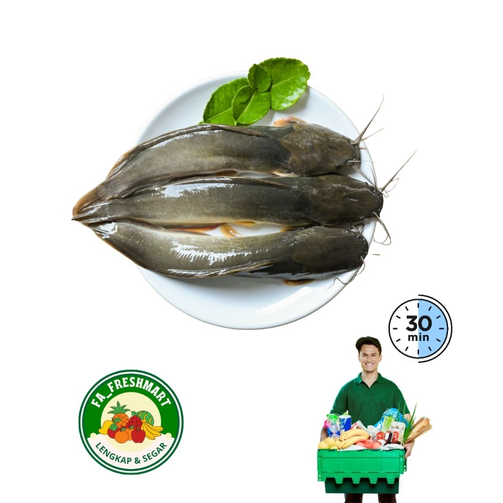 

ikan lele segar 500gr