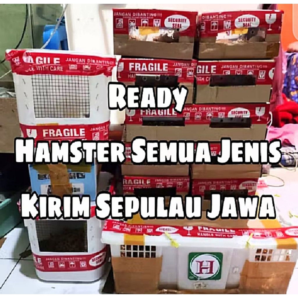 

packing kardus+semua jenis (pulau jawa)