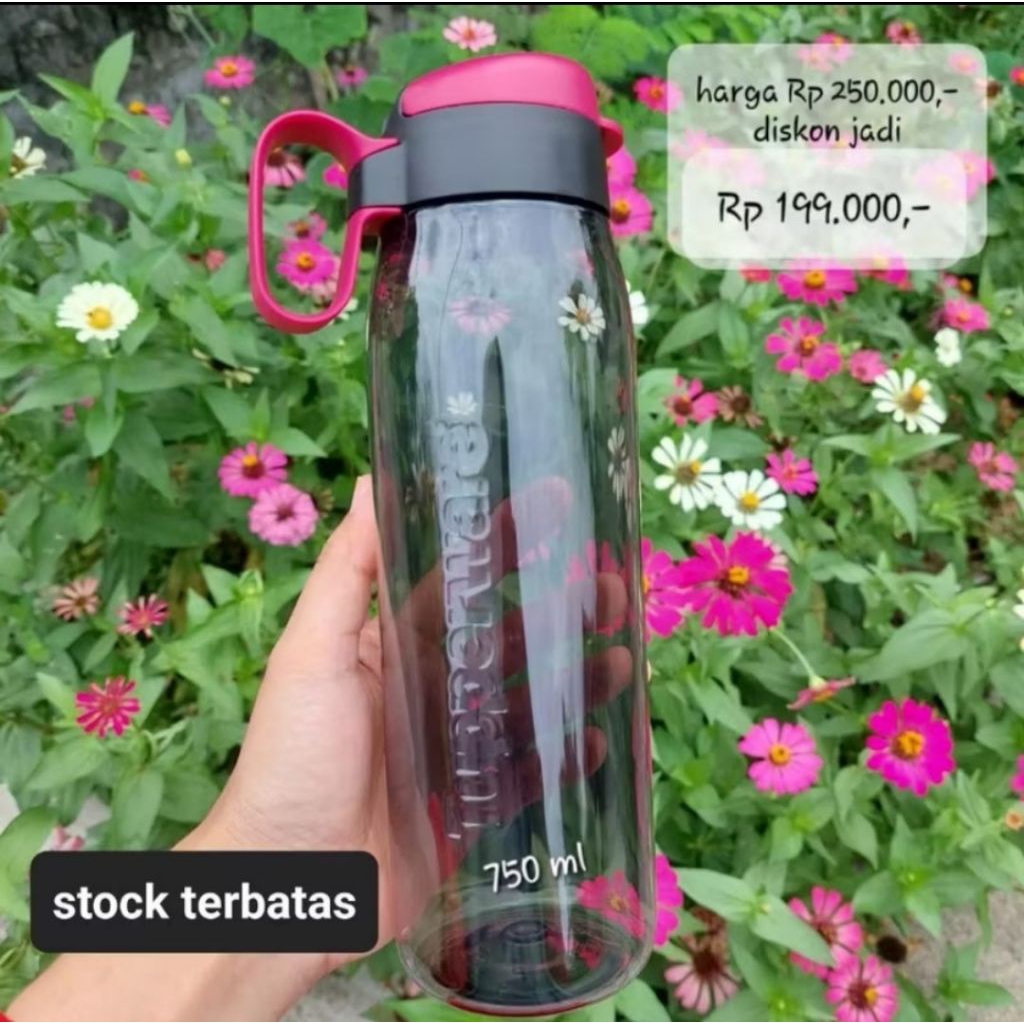 H2GO 750ml tupperware
