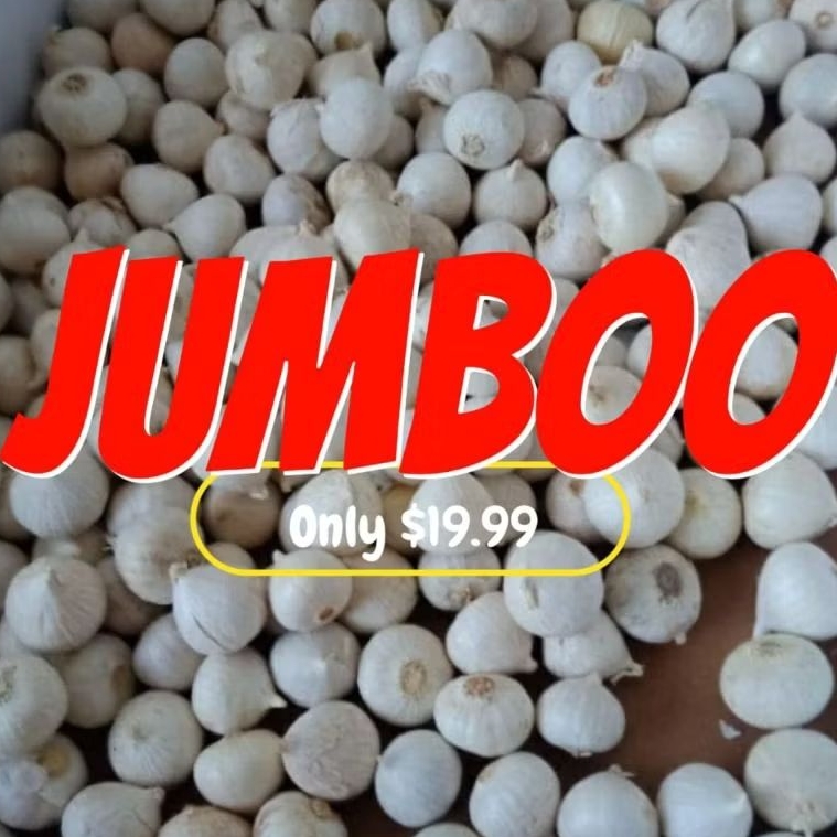 

bawang tunggal lanang jumbo 1kg