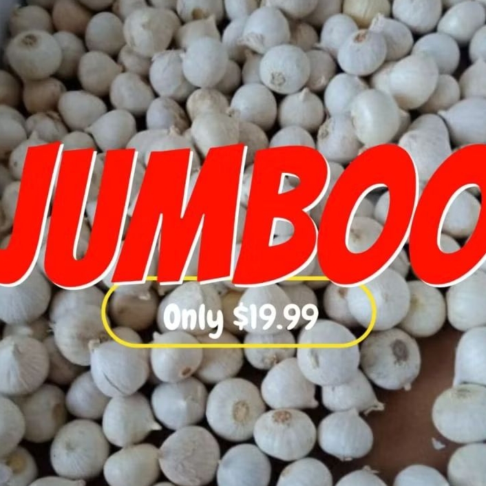 

bawang putih lanang tunggal jumbo 500 gram