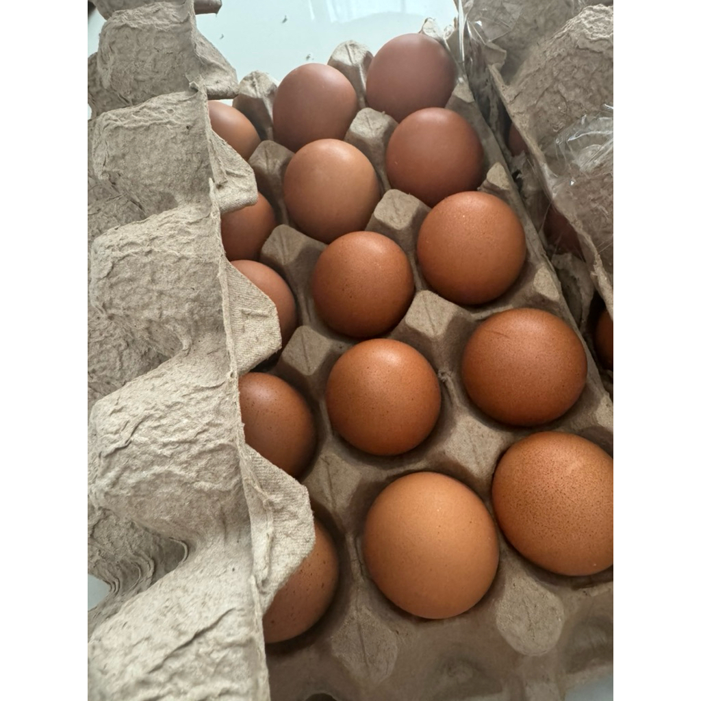 

TELUR OMEGA PREMIUM GRADE A 15 BUTIR