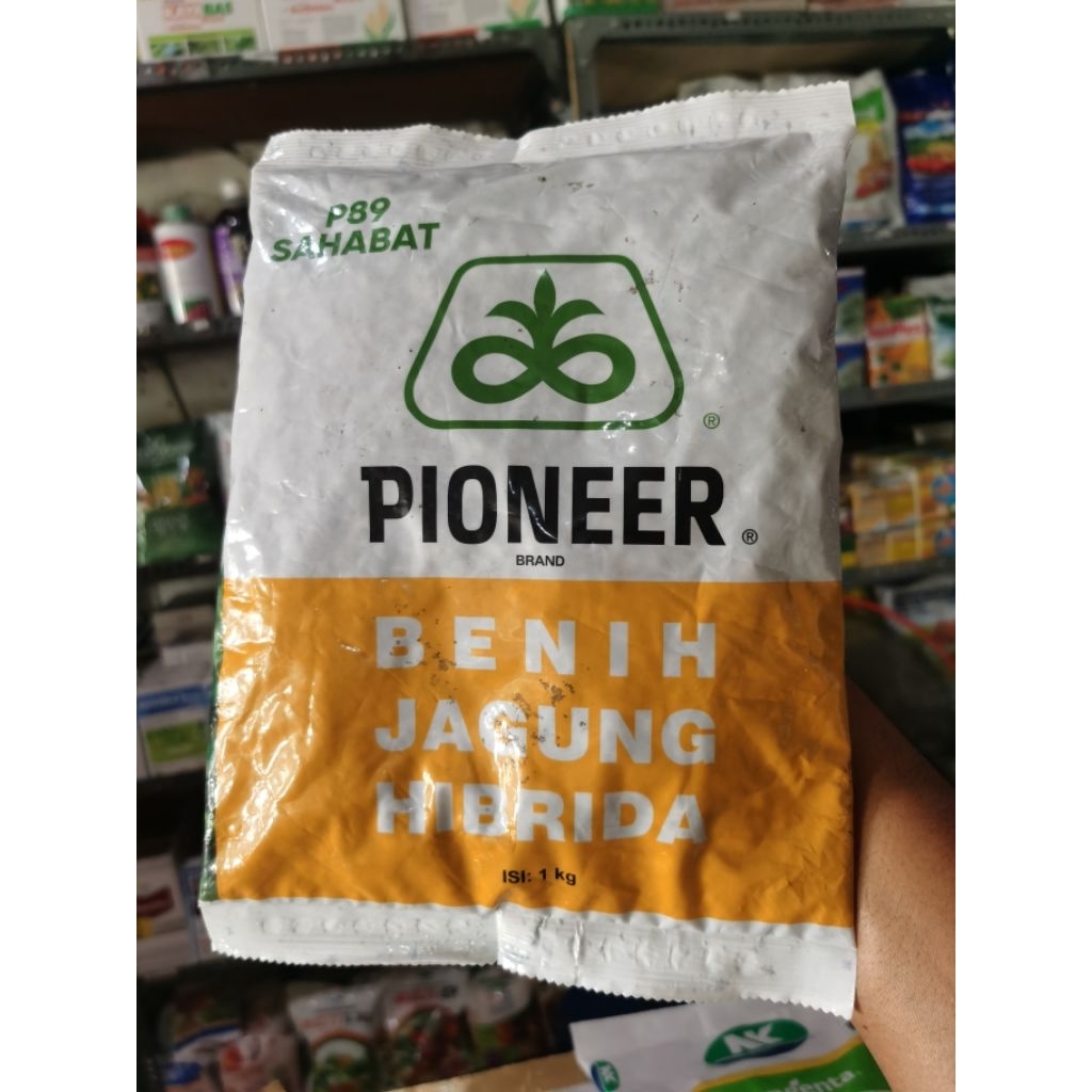 

Benih Jagung Hibrida Pioneer P89 SAHABAT 1 Kg